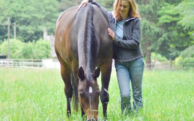 Stress abbauen für Reiter und Pferd – Mach nicht diesen Fehler